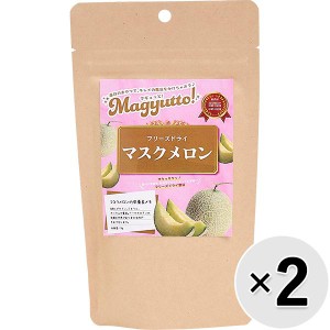 【セット販売】Magyutto！ フリーズドライ マスクメロン 13g×2コ