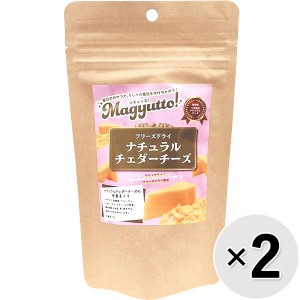 【SALE】【セット販売】Magyutto！ フリーズドライ ナチュラルチェダーチーズ 35g×2コ