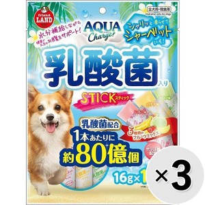 【SALE】【セット販売】アクアチャージ 乳酸菌入りスティック （16g×12本）×3コ