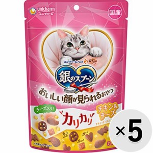 【セット販売】銀のスプーン おいしい顔が見られるおやつ カリカリチキン＆チーズ 60g×5コ