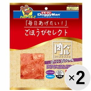 【セット販売】ごほうびセレクト 肉バル ビーフのソフトサラミ 120g×2コ