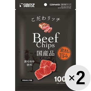 【SALE】【セット販売】こだわリッチ ビーフチップス 100g×2コ