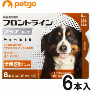 犬用フロントラインプラスドッグXL 40kg〜60kg 6本（6ピペット）（動物用医薬品）