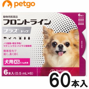 【10箱セット】フロントラインプラスドッグXS 5kg未満 6本（6ピペット）（動物用医薬品）