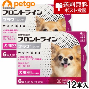 【ネコポス(同梱不可)】【2箱セット】犬用フロントラインプラスドッグXS 5kg未満 6本（動物用医薬品） 