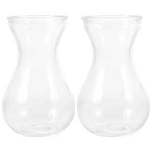 OUNONA ヒヤシンス 花瓶 ガラス 透明 水栽培 容器 2個 ポット ガラス鉢 ヒヤシンスポット プランター テラリウム 容器 植物用 花瓶 一輪