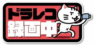 Isaac Trading ドライブレコーダー録画中 ステッカー 猫イラスト シール ドラレコ 耐水・耐候 144x67mm (ピンク)