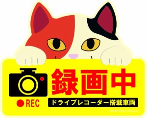 かわいい猫のドライブレコーダー録画中マグネットサイン 三毛猫