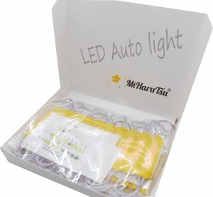 MiHaruTsu (ミハルツ) 12V LEDマーカーランプ球 LED ライト マーカー ランプ 球 トラックサイドマーカーダウンライト マーカー球 20ピー