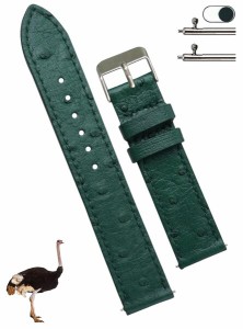 (vinacreations) 22mm グリーン オーストリッチ革腕時計ベルト 平らで薄いベルト クイックバネ棒 本革交換用時計バンド 腕首バックル付き