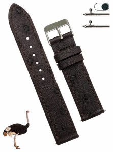 (vinacreations) 22mm ダークブラウン オーストリッチ革腕時計ベルト 平らで薄いベルト クイックバネ棒 本革交換用時計バンド 腕首バック