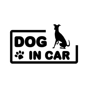(ＫＡＩＭＩＲＵ ＳＴＯＲＥ) DOG IN CAR ドッグインカー 犬 イヌ カッティングステッカー 転写 車 (k-646 イタリアングレイハウンド 2 