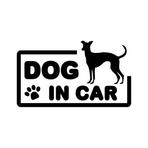 (ＫＡＩＭＩＲＵ ＳＴＯＲＥ) DOG IN CAR ドッグインカー 犬 イヌ カッティングステッカー 転写 車 (k-644 イタリアングレイハウンド 1 