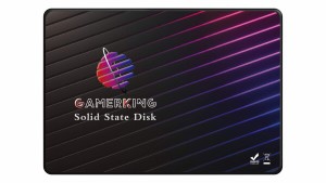 GamerKingSSD 1TB SATA III 2.5 Inch 6Gb/s 内蔵型 Solid State Drive ハードドライブ 高性能ハードドライブノート/パソコン/デスクトッ