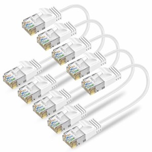 Ankuly Cat6A LANケーブル 短いランケーブル 0.15m 2本セット RJ45コネクタ 10Gbps サーバー 企業様向け 業務用 有線ケーブル ホワイト 