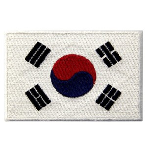 韓国 国旗 紋章 韓国語 アップリケ 刺繍入りアイロン貼り付け/縫い付けワッペン