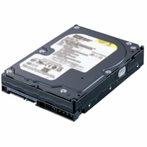 BUFFALO 内蔵 7200rpm SerialATAII ハードディスク 320GB HD-H320FBS2/3G