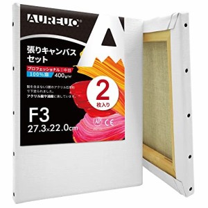 AUREUO 張りキャンバス セット F3 (27.3cmx22.0cm) 中目 全麻 2枚 リネン 専門の絵画用具 芸術絵創作 現代油絵 美術装飾 水彩画・油絵画