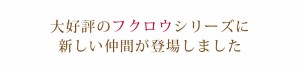 ピィアース ジュエリーボックス アクセサリー ケース 収納 天使のフクロウ ふくろう / ピアス ネックレス 指輪 宝石箱 インテリア 雑貨 