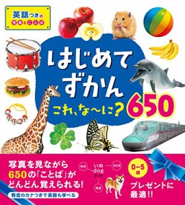 はじめてずかん これ、な~に・650