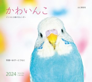 カレンダー2024 かわいんこ インコと小鳥のカレンダー（月めくり/壁掛け） (ヤマケイカレンダー2024)