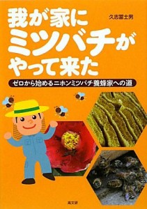 我が家にミツバチがやって来た—ゼロから始めるニホンミツバチ養蜂家への道