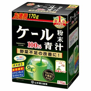 山本漢方 ケール粉末100%青汁 170g