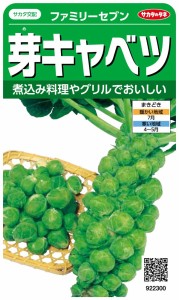 サカタのタネ 実咲野菜2300 芽キャベツ ファミリーセブン 00922300