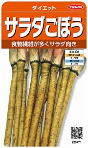 サカタのタネ 実咲野菜5771 サラダごぼう ダイエット 00925771