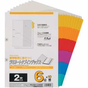 マルマン インデックス A4 2穴 インデックスシート 6山 10組 1冊 LT4206F