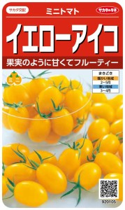 サカタのタネ 実咲野菜0105 イエ ローアイコ ミニトマト 00920105