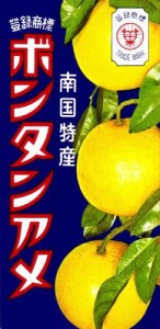 セイカ食品 ボンタンアメ 14粒×10箱