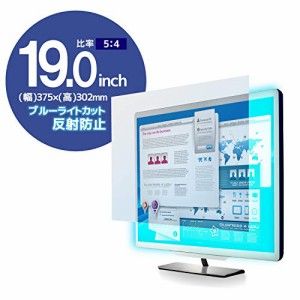 エレコム 液晶保護フィルム ブルーライトカット 19インチ 反射防止 5:4 EF-FL19BL