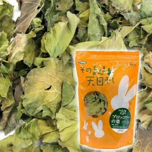 Nikitea 川井 ブロッコリーの葉３０ｇ