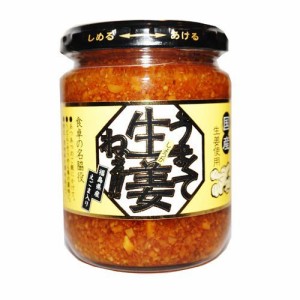 国産生姜使用 うまくて生姜ねぇ!! 240ｇ × 20個