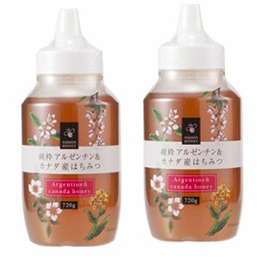 ど真ん中フーズ 日新蜂蜜 純粋アルゼンチン＆カナダ産はちみつ７２０ｇ×2本