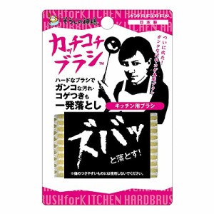 そうじの神様 カッチコチブラシ キッチン用