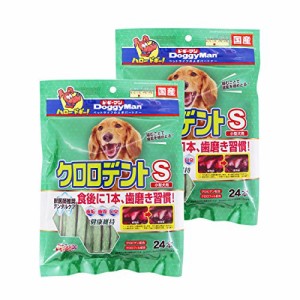 クロロデントスティック S 超徳用 24本×2個セット