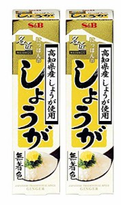 S＆B 名匠 にっぽんの しょうが 31g×2本