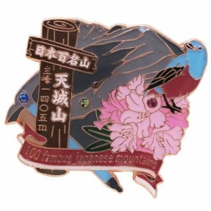 日本百名山ピンバッジ1段 ピンズ/天城山 エイコー トレッキング 登山 グッズ 通販
