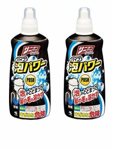 【まとめ買い】サニボン パイプ泡パワー 排水パイプのつまりや悪臭をスッキリ解消 本体 400ml × 2個