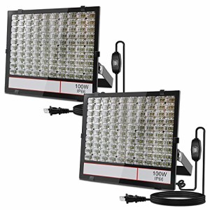 薄型 軽量 大光量 LED投光器 100W 10000LM AC85~265V 強化ガラスカバー 高防水性 PSE認証済3m配線コード付(黒, 100W 2個)