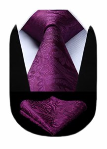ヒスデン 結婚式 ペイズリー ネクタイ チーフ セット メンズ 紫 花柄 ネクタイ おしゃれ 礼服用 紳士 ビジネス パーティー 高級 プレゼ