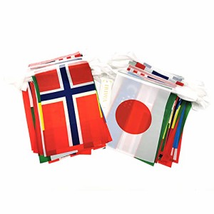 IRIWA 万国旗　世界　国旗　100ヶ国　全長25ｍ　日本　日の丸有り　運動会　文化際　フェスティ