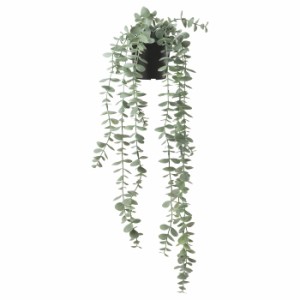 IKEA (イケア) FEJKA：人工観葉植物/つり下げ型58 cm ユーカリ（904.668.10）