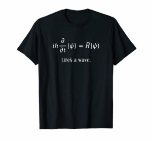 物理学者数学者のためのシュレディンガー方程式ティー Tシャツ