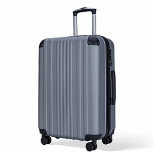 Bargiotti ABSスーツケース キャリーバッグ キャリーケース 大容量 超軽量 TSAロック ダブルキャスター 静音 旅行 ビジネス… (シルバ