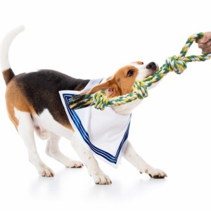 TEMLUM 犬おもちゃ 犬用 噛むおもちゃ 犬 ロープおもちゃ 綿ロープ 犬用玩具 天然コットンロープ 丈夫 耐久性 ペット用 歯磨き ストレス