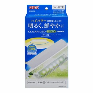 ジェックス GEX クリアLED エコリオアーム パワー ホワイト 小型LED ハイパワーLED 白色光