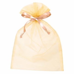 ヘッズ ギフトバッグ 20×29.5cm L シャンパンゴールド 10枚 オーガンジーバッグ 巾着袋 HEADS OGC-BL